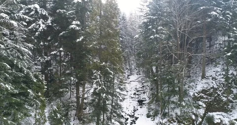Aerial drone view in mountain forest. Winter landscape in 4к Stock Footage 128699727