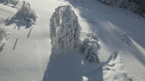 Aerial drone view in mountain forest. Winter landscape. 動画素材 153802125