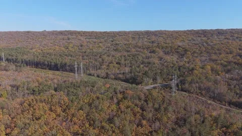 Aerial drone view of mountain forest in autumn golden colors Stock Footage 321198042