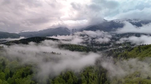 Aerial drone view of mountain landscape with fog coming out of green forest Stock Footage 308990041