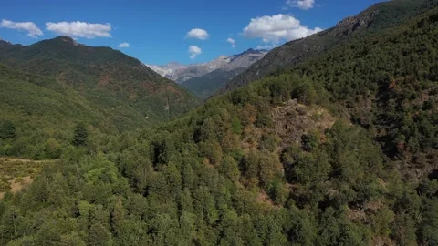 Aerial drone view Mountain river and mountain green forest. Landscapes of Stock Footage 236500195