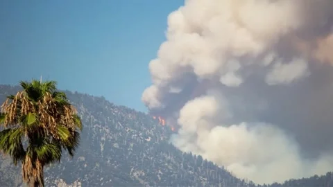 Aerial Drone View of Mountain Wildfire With Massive Smoke Plume Vídeo Stock 337719098