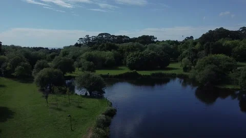 Aerial Drone View - Moving Down - Urban Park with Green Vegetation and Trees Video stock 153167001