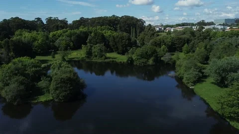 Aerial Drone View - Moving Down - Urban Park with Green Vegetation and Trees 库存影片 153167453
