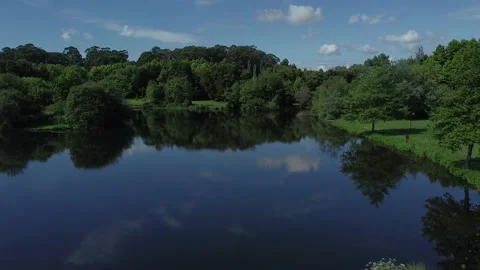 Aerial Drone View - Moving Forward - Urban Park with Green Vegetation and Tre 库存影片 153167256