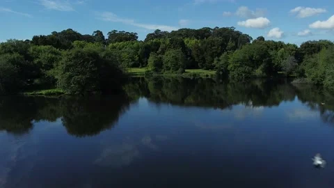 Aerial Drone View - Moving Forward - Urban Park with Green Vegetation and Tre 库存影片 153167348
