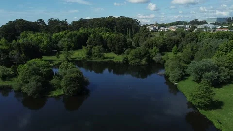 Aerial Drone View - Moving Forward - Urban Park with Green Vegetation and Tre Stockbeeldmateriaal 153167450