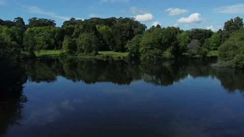 Aerial Drone View - Moving Forward - Urban Park with Green Vegetation and Tre Video stock 153167479