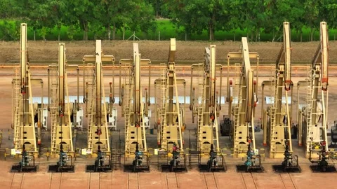 Aerial drone view of multiple oil pumpjacks operating in a vast field. Stock Footage 331280328