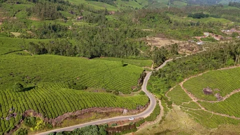 Aerial Drone View of Munnar Tea Plantations with Misty Mountains Stock Footage 327826549