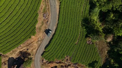 Aerial Drone View of Munnar Tea Plantations with Misty Mountains Stock Footage 327848056