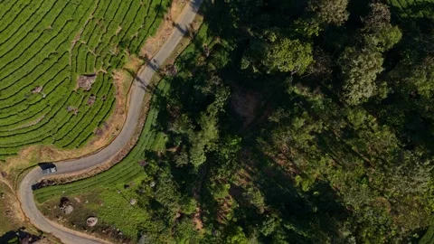 Aerial Drone View of Munnar Tea Plantations with Misty Mountains Stock Footage 327848197