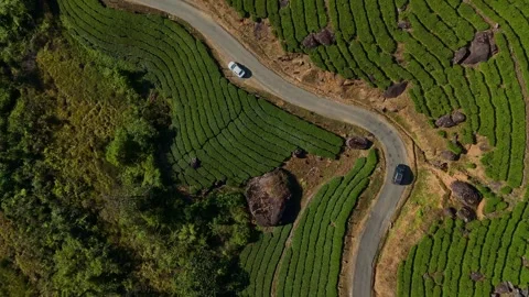 Aerial Drone View of Munnar Tea Plantations with Misty Mountains Stock Footage 327853635
