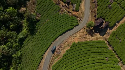 Aerial Drone View of Munnar Tea Plantations with Misty Mountains Video stock 327853898