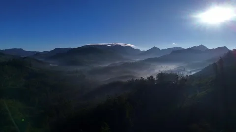 Aerial Drone View of Munnar Tea Plantations with Misty Mountains Video stock 327944749