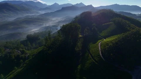 Aerial Drone View of Munnar Tea Plantations with Misty Mountains Stock Footage 327945832