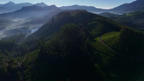 Aerial Drone View of Munnar Tea Plantations with Misty Mountains Stock Footage 327945909