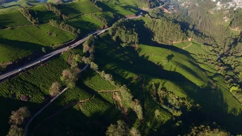 Aerial Drone View of Munnar Tea Plantations with Misty Mountains Stock Footage 327946005