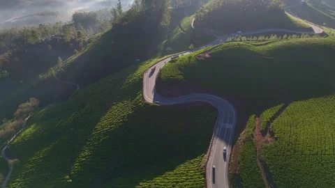 Aerial Drone View of Munnar Tea Plantations with Misty Mountains Stock Footage 327946021