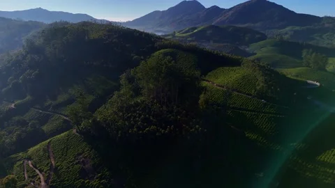 Aerial Drone View of Munnar Tea Plantations with Misty Mountains Stock Footage 327953901
