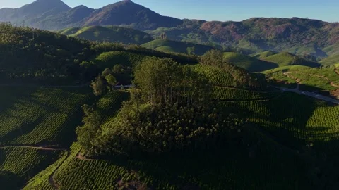 Aerial Drone View of Munnar Tea Plantations with Misty Mountains Stock Footage 327953999