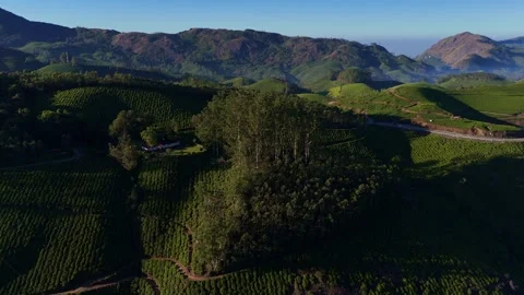 Aerial Drone View of Munnar Tea Plantations with Misty Mountains Stock Footage 327954016