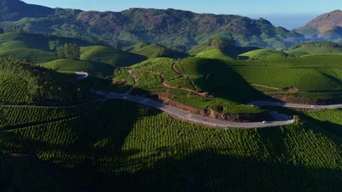 Aerial Drone View of Munnar Tea Plantations with Misty Mountains Stock Footage 327954408
