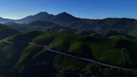 Aerial Drone View of Munnar Tea Plantations with Misty Mountains Video stock 327954626