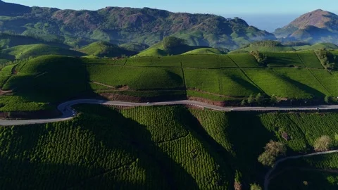 Aerial Drone View of Munnar Tea Plantations with Misty Mountains Stock Footage 327958494