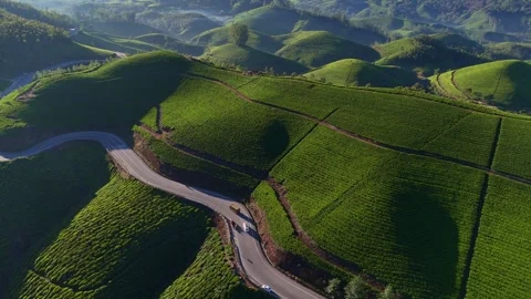 Aerial Drone View of Munnar Tea Plantations with Misty Mountains Stock Footage 327958537