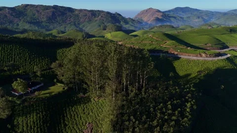 Aerial Drone View of Munnar Tea Plantations with Misty Mountains Stock Footage 327960143