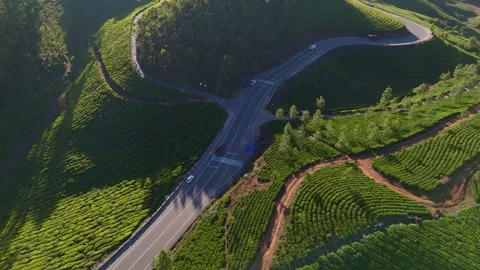 Aerial Drone View of Munnar Tea Plantations with Misty Mountains Stock Footage 328136553