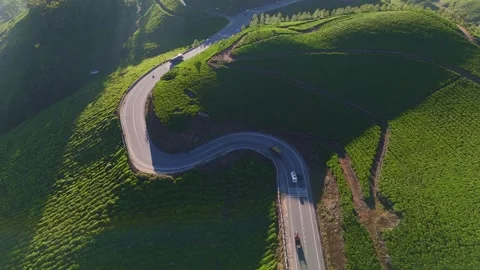 Aerial Drone View of Munnar Tea Plantations with Misty Mountains Stock Footage 328136612