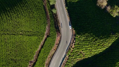 Aerial Drone View of Munnar Tea Plantations with Misty Mountains Stock Footage 328136642