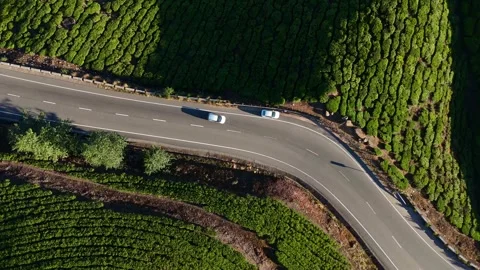 Aerial Drone View of Munnar Tea Plantations with Misty Mountains Stock Footage 328136786
