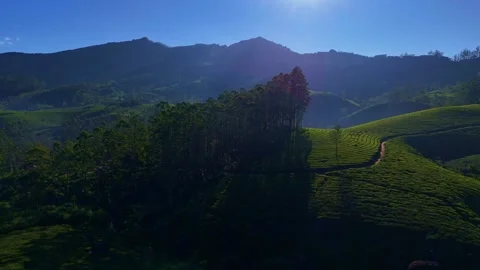 Aerial Drone View of Munnar Tea Plantations with Misty Mountains Stock Footage 328136913