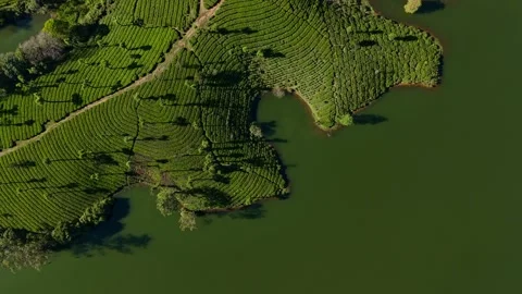Aerial Drone View of Munnar Tea Plantations, India Scenic Mountain Landscape Stock Footage 328332602