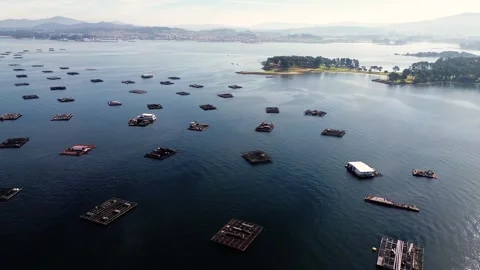 Aerial drone view of mussel rafts o the sea in Pontevedra, Spain Stockbeeldmateriaal 283493553