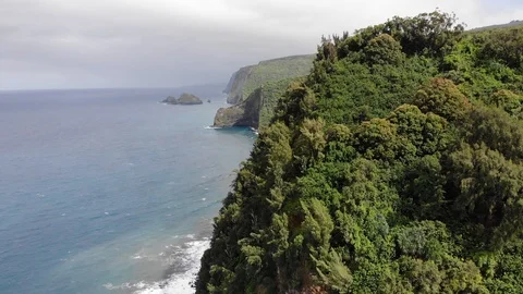 Aerial Drone View Of Ocean Cliffs in Hawaii Video stock 106189572