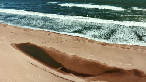 Aerial drone view of the ocean shore beaches next to the Namib dunes Stock Footage 299850511