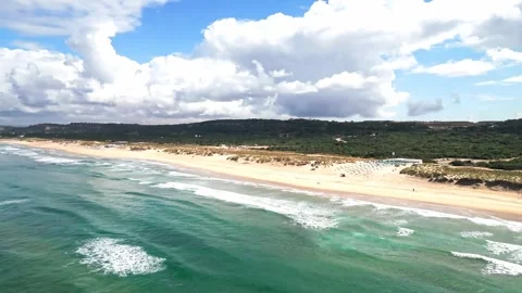 Aerial Drone View of Ocean Surf and Sandy Beach with Green Dunes, Costa de Vidéo 336702287