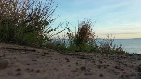 Aerial drone view of ocean waves rolling onto a sandy beach shore Stock Footage 137426410