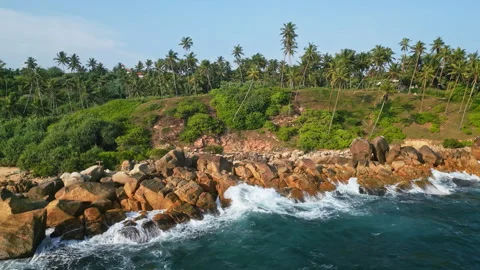 Aerial drone view of ocean waves crashing on rocky shore lined with palm trees Stock Footage 265962581