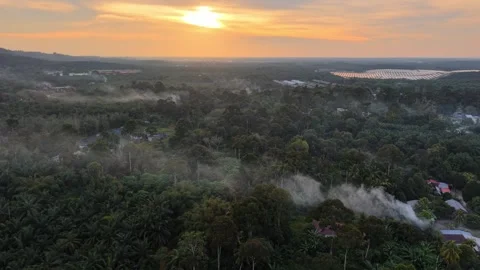 Aerial drone view of open burning across forest near village at sunset Stock Footage 332588282
