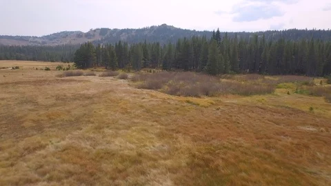Aerial drone view, open prairie land and forest in rocky mountain of California Video stock 100861746