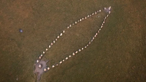 Aerial drone view over Ale stenar Vidéo 109444808