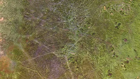 Aerial drone view over batu kawan wetland marsh patterns Stock Footage 332200352