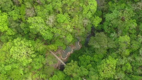 Aerial drone view over the canopy of trees to reveal Hot Springs of Costa Rica Stock Footage 317595894