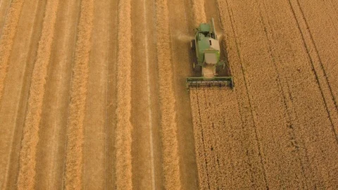 Aerial drone view over Combine harvester Stock Footage 109446970