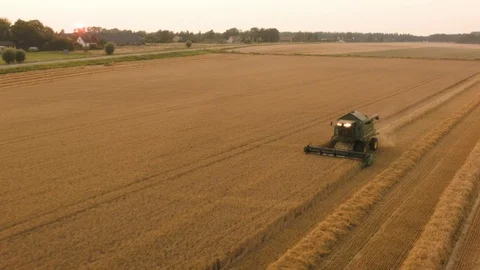 Aerial drone view over Combine harvester 動画素材 109447397